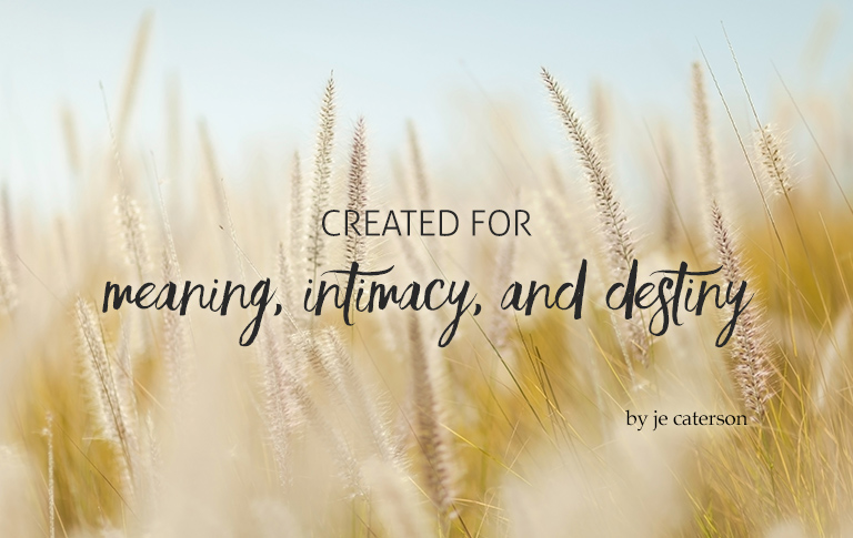 Created for Meaning, Intimacy, and Destiny – YS Blog